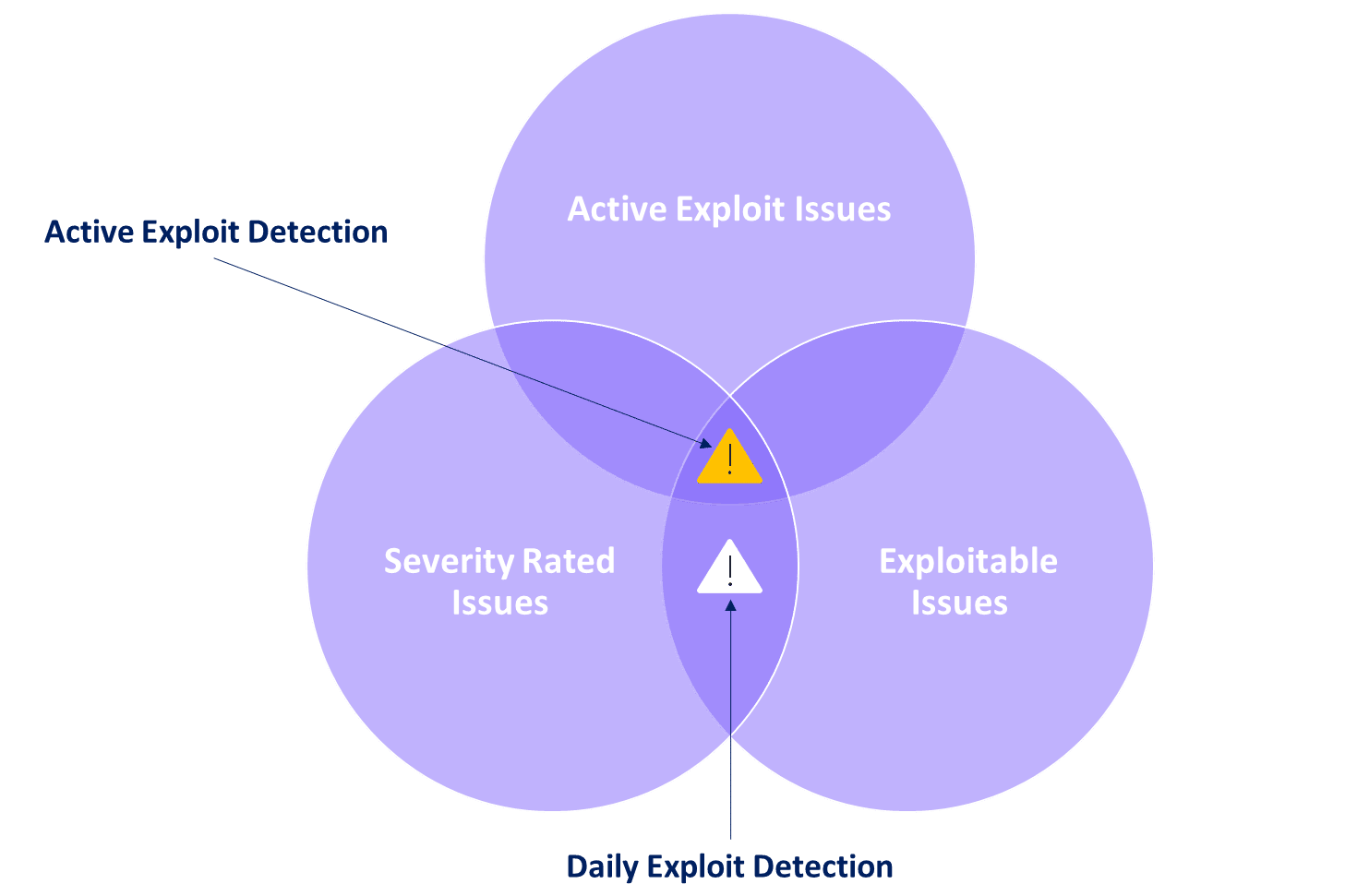 Prism Vulnerability Issues Venn Diagram