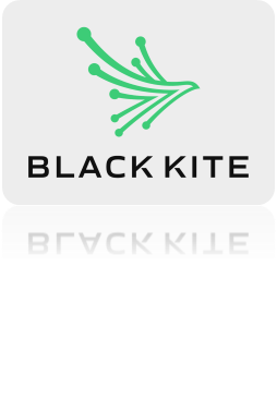 Black Kite