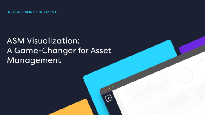 Mastering Your Cybersecurity with ASM Visualization: A Game-Changer for Asset Management