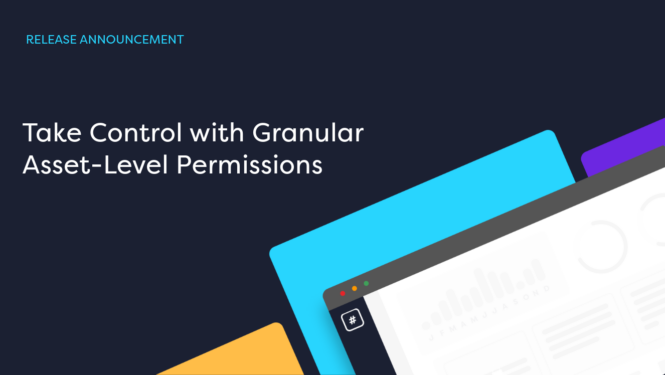 Enhanced Asset Level and Asset Group Permissions