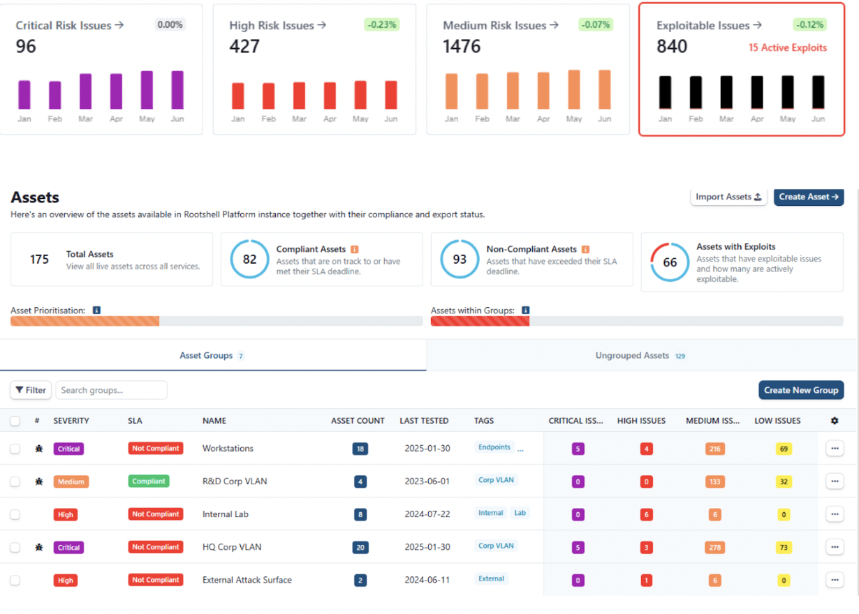 critical risk report
